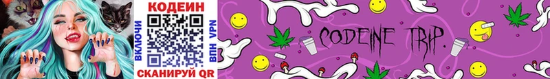 закладка  блэк спрут ССЫЛКА  Кодеин Purple Drank  Вельск 