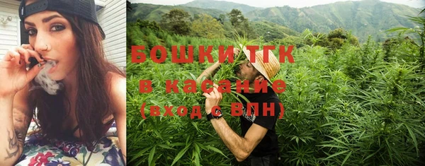 спайс Богородицк